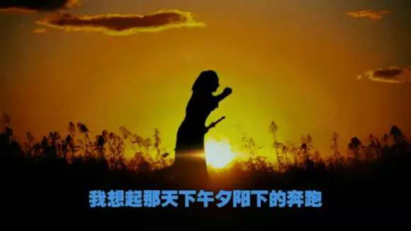 指挥家VR 指挥家VR