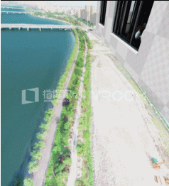 1497442521898374.gif 蓝鲸2.gif